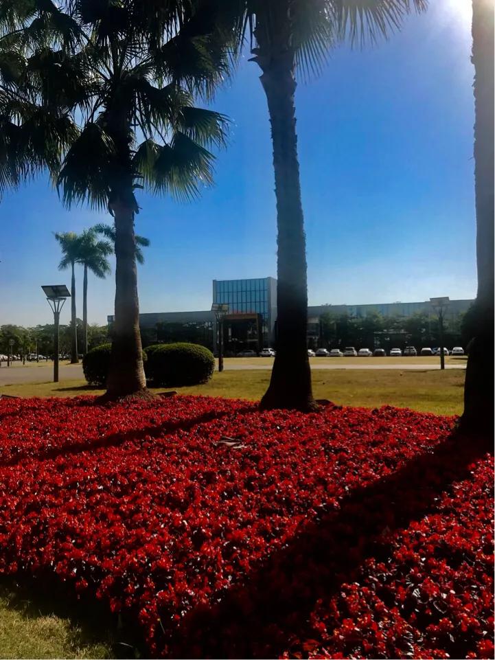 缇庣殑鍏ㄧ悆鍒涙柊涓績涓婄彮鏃堕棿,缇庣殑鍏ㄧ悆鍒涙柊涓績