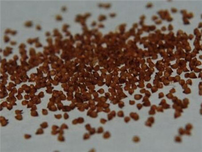 播种的生石花不扎根,生石花播种用什么盆