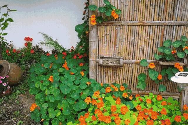 过年相城游玩攻略,相城区冬日游玩攻略