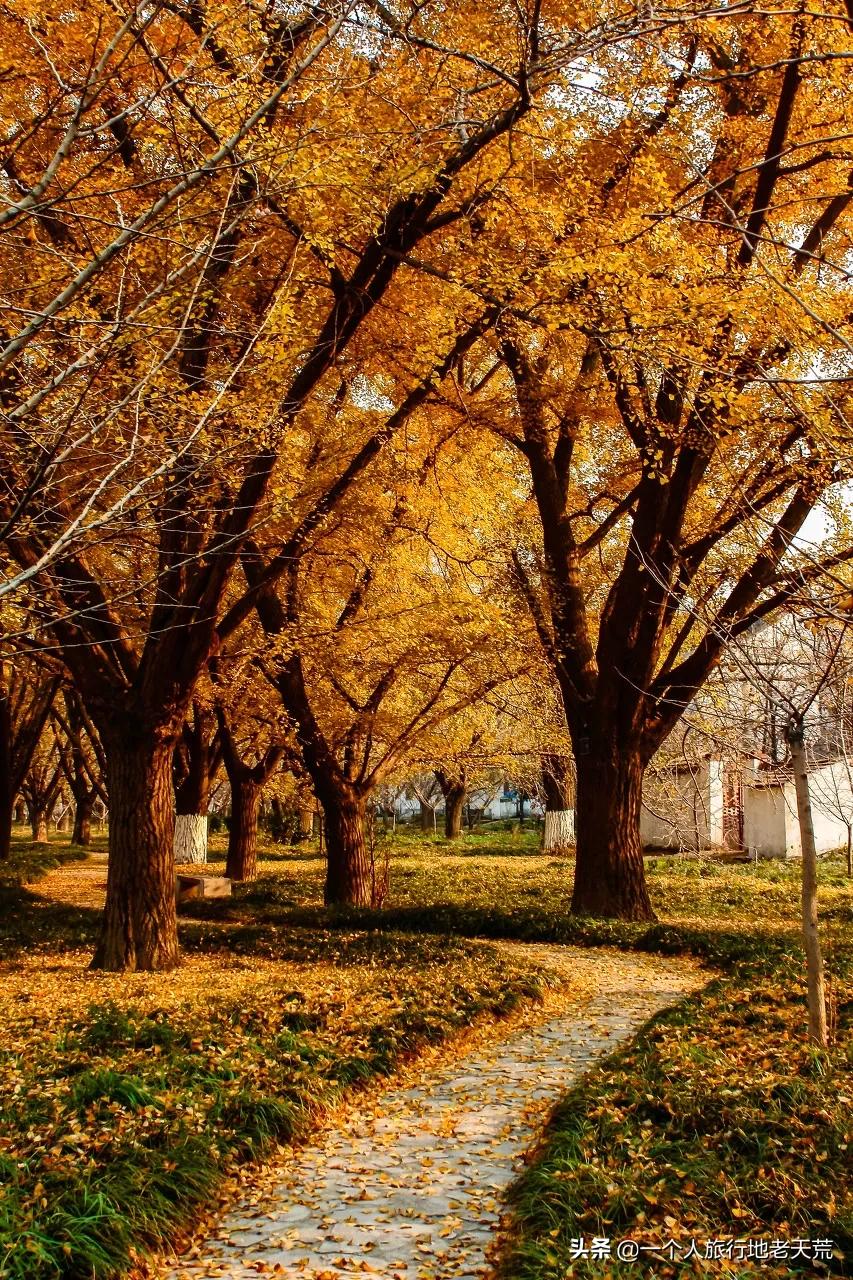 原来它才是江苏最安逸城市，累了就去小住几天