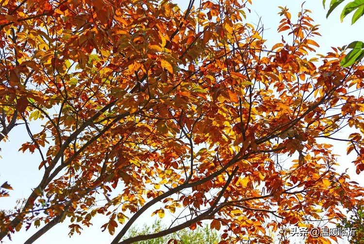 竹泉村景区,最美竹泉村