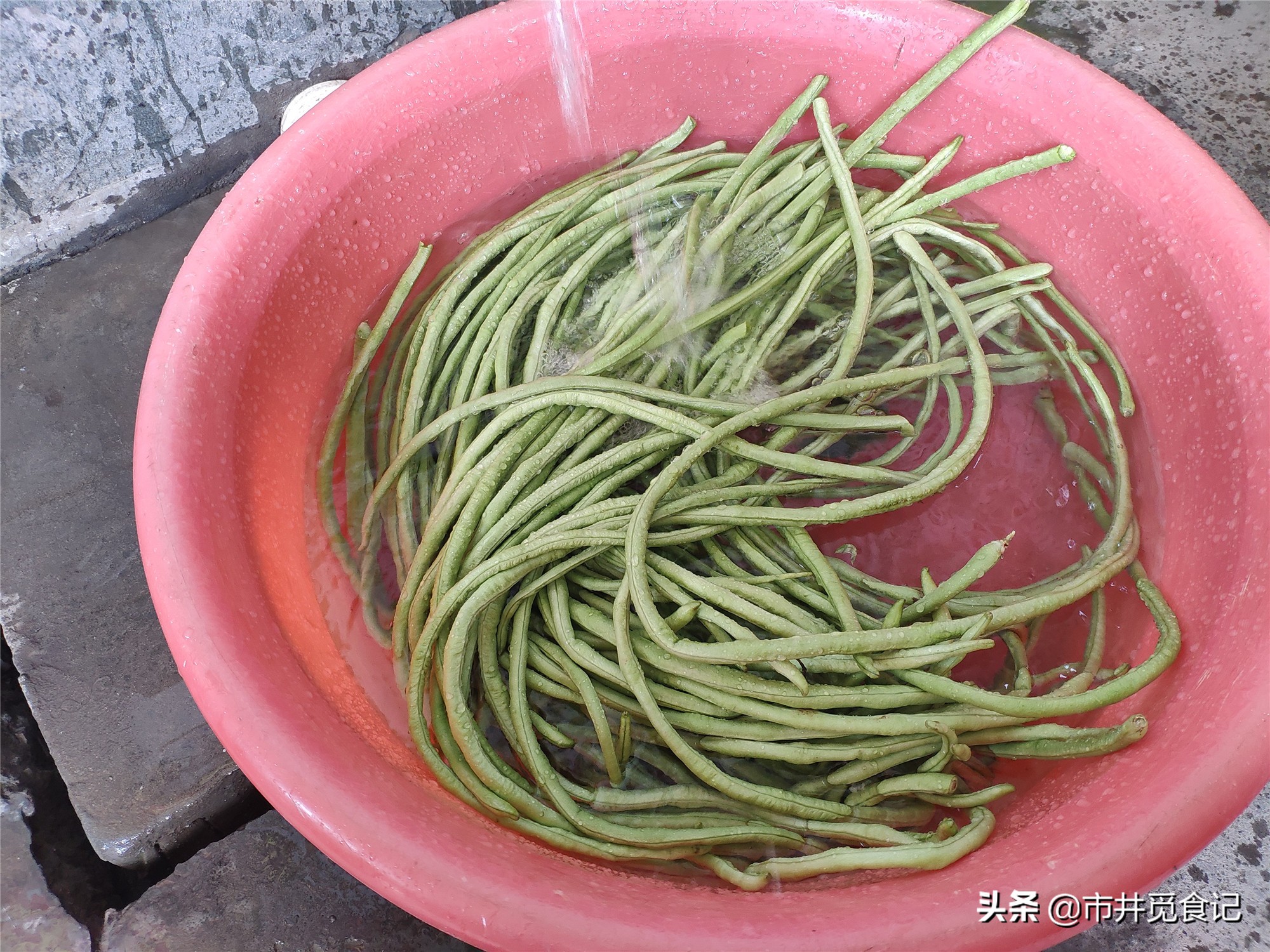 豆角晒7成干,新鲜豆角晒成干豆角一斤能出多少