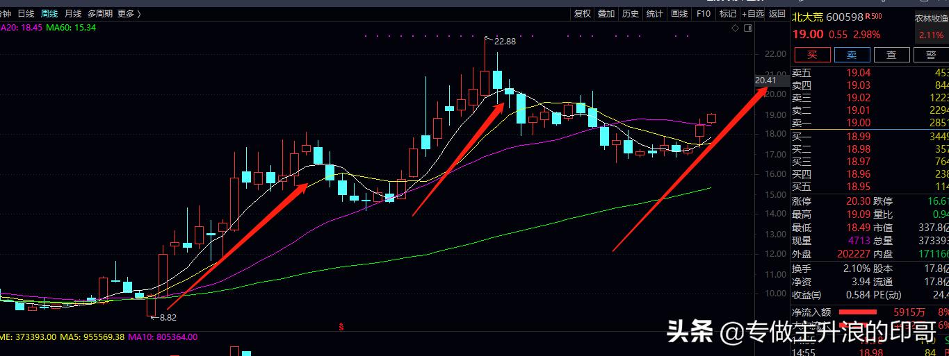 农林牧渔板块今日分析报告汇总,农林牧渔板块走强巨星农牧领涨