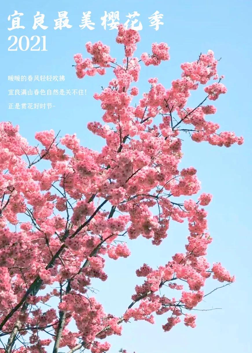 今天宜良景点哪里好玩,宜良好玩的夜景