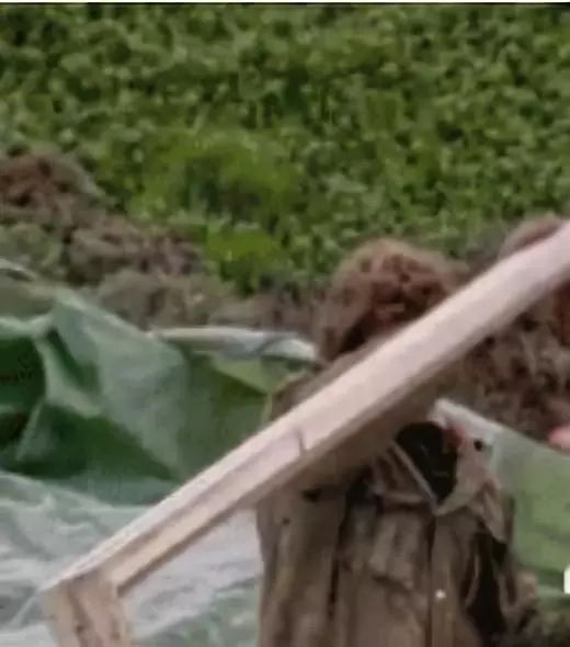 马云教会孩子如何面对失败,马云说未来孩子稀缺怎么分析