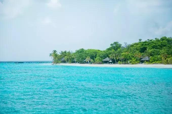 马尔代夫最新选岛攻略,马尔代夫选岛最佳方法