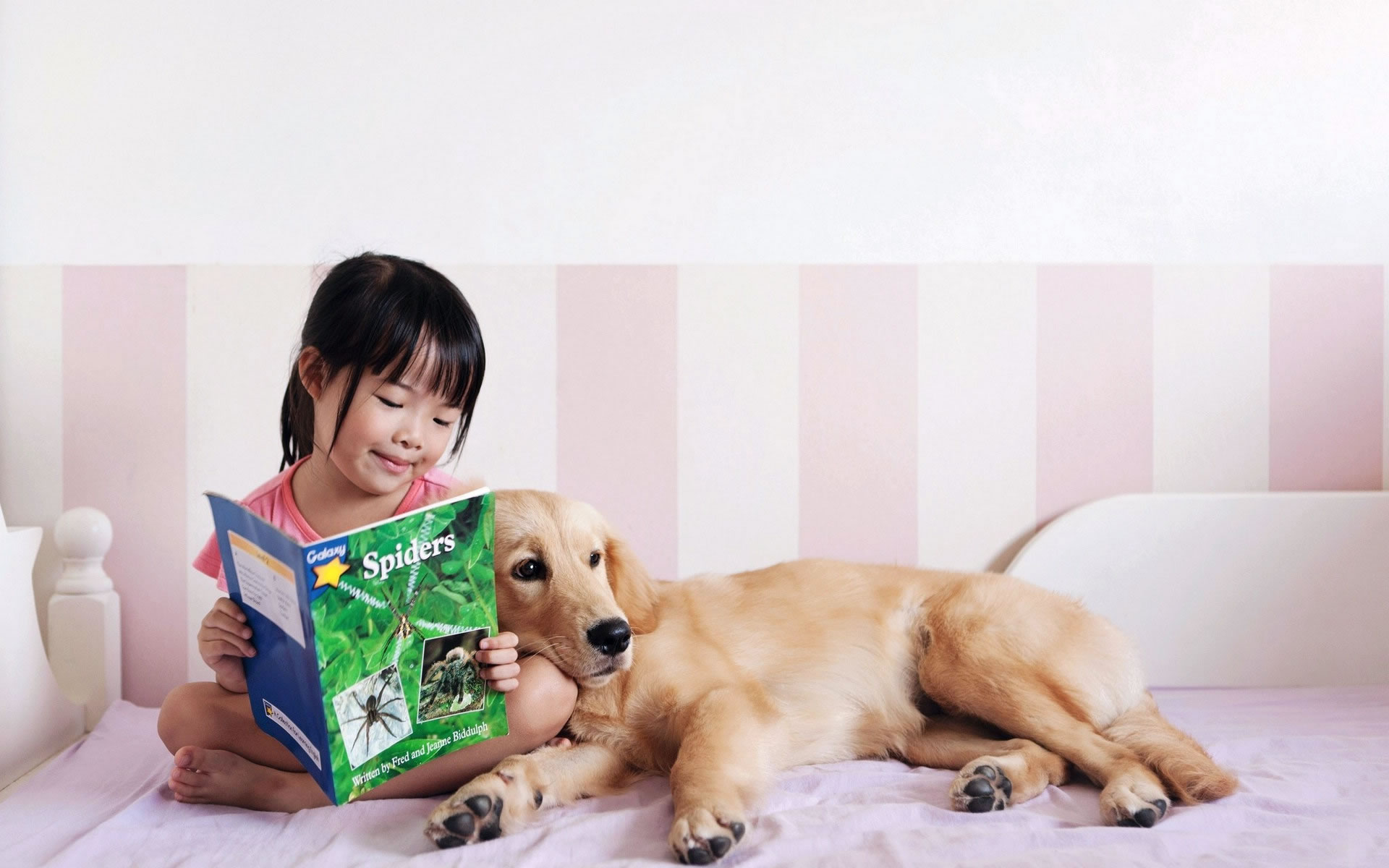 宠物狗吐该怎么办,萌宠知识普及答案