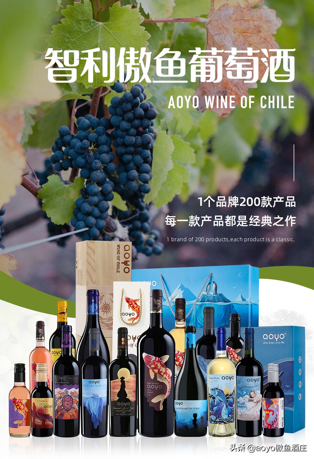 洪湖原装进口葡萄酒供应商,选择哪种红酒最好