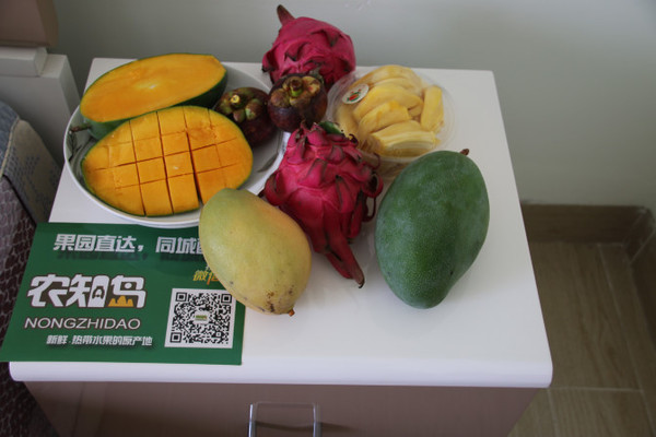 我的海南之旅作文,从海口到三亚感受海南的无限魅力