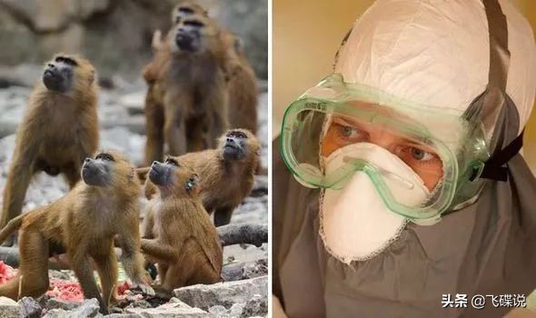 疫情期间我们如何防控病毒,病毒预防很重要防护意识要增强