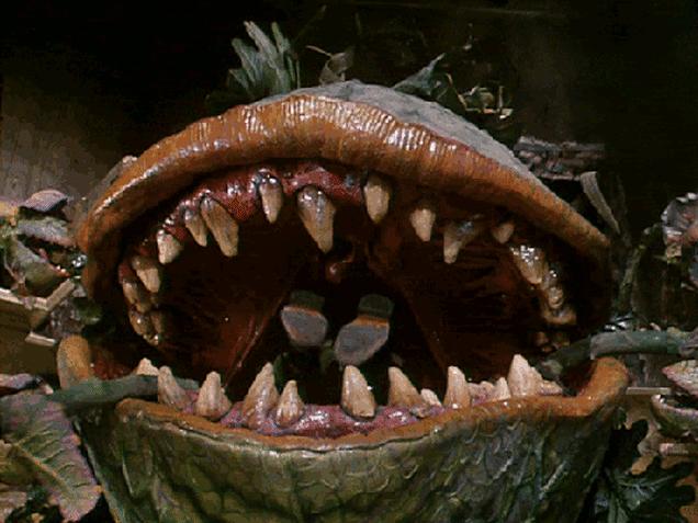 让你瑟瑟发抖地捧腹大笑/力迈中美国际学校卡文特“绿魔先生”