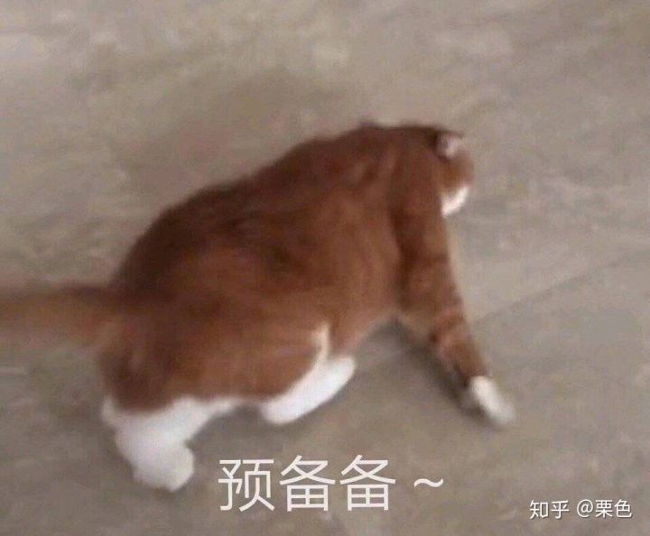 淘宝购物下单省钱步骤,淘宝购物返利省钱技巧