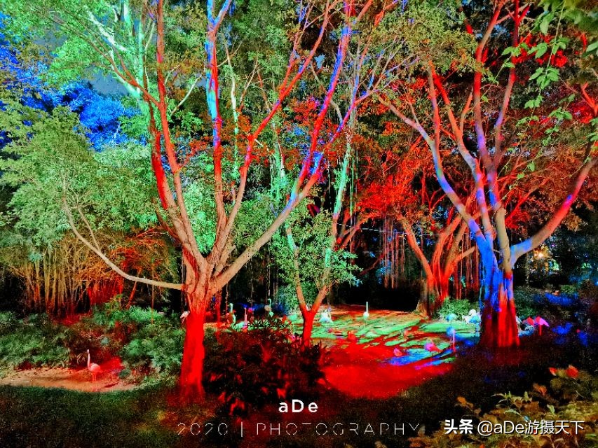 广州长隆野生动物园夜场,长隆嘉年华夜场17号有什么节目