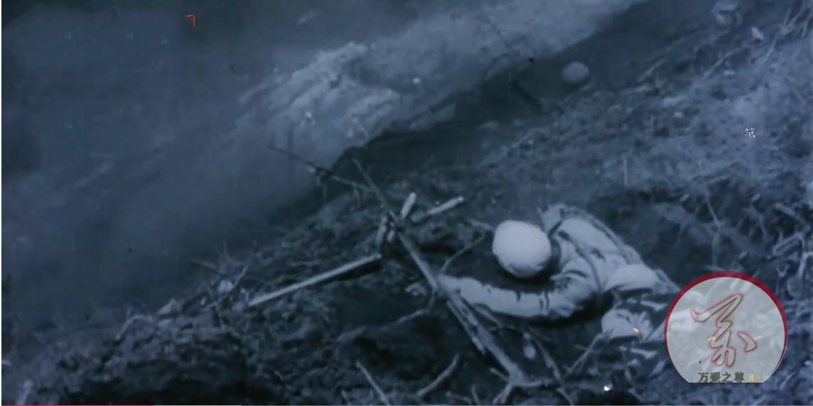 长津湖战役中美兵力对比,长津湖之战歼灭美军多少人