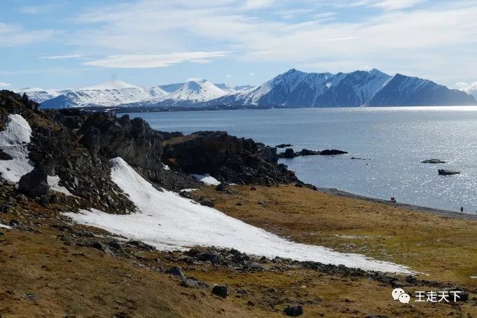 登陆巡游北冰洋—北极旅游见闻（5）