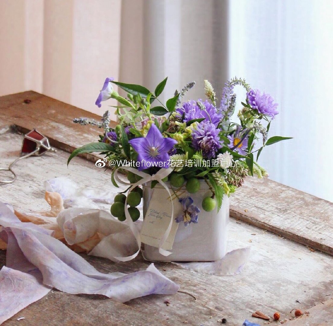 whiteflower闂ㄥ簵,whiteflower