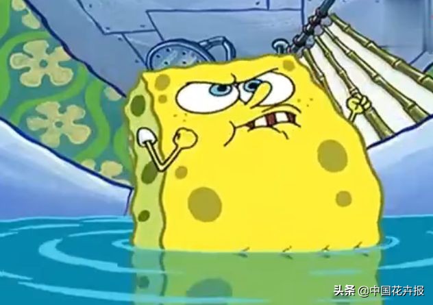 从小就觉得面包树上结的是“面包”？你只差一个亲眼看看的机会