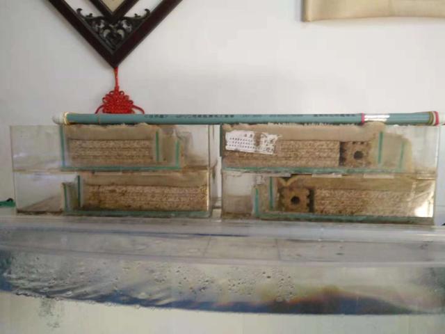 一个一米二的鱼缸需要多少滤材,1米8底滤鱼缸日常打理