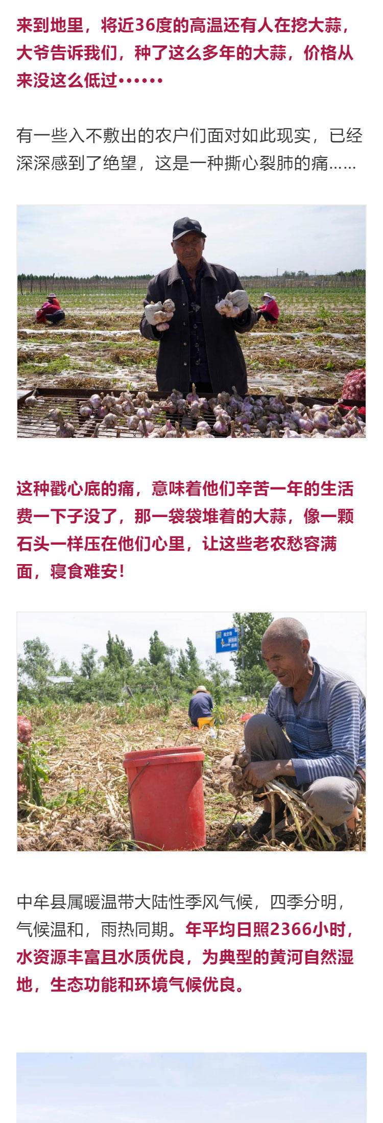 鍔╁啘鐧惧崄涓囦憨婊為攢澶ц挏,绱毊澶ц挏椴滆挏鍔╁啘5鏂よ