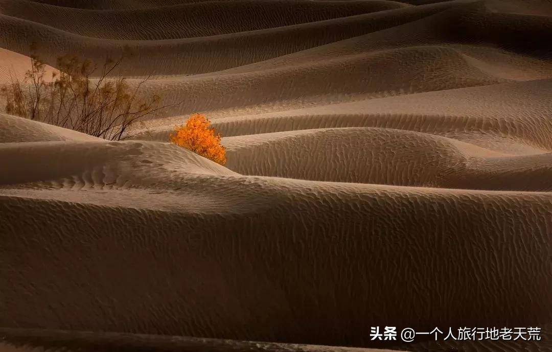 北疆自驾13天路线推荐,国内3条最美出境自驾线