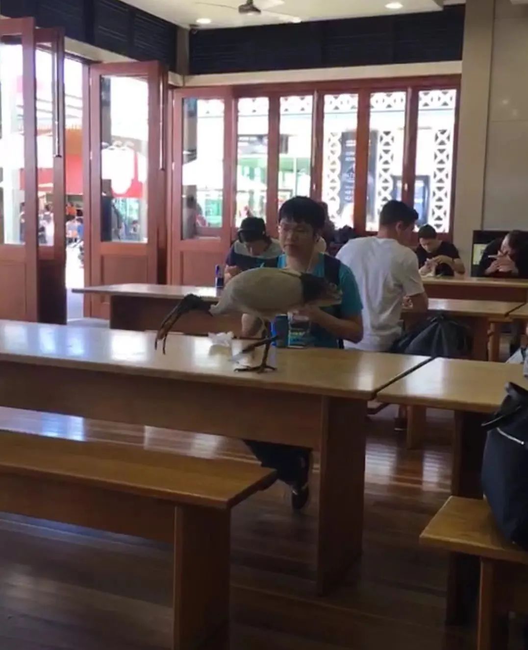 留学的穿衣风格,怎么一眼辨别留学生