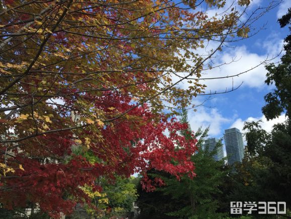 加拿大考研究生报考条件,加拿大研究生申请条件及流程