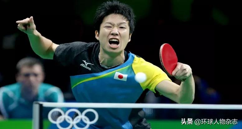 水谷隼参加的日本综艺,水谷隼绯闻