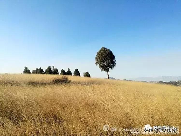 辉县张北草原冬天自驾游,辉县张北草原自驾游一天攻略