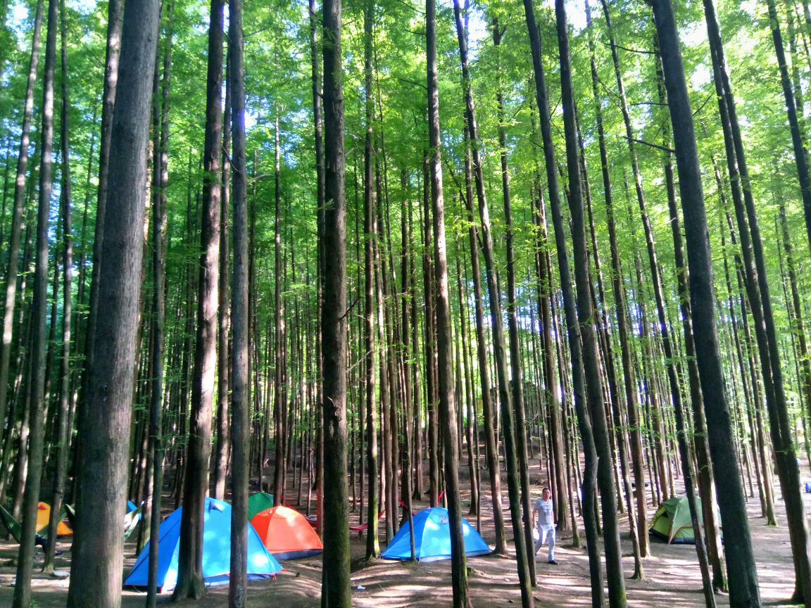 重庆人去哪里避暑最合适,重庆人适合出去避暑地方推荐