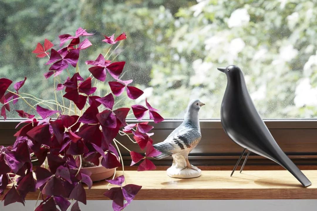 现代住宅经典建筑,现代建筑十大经典