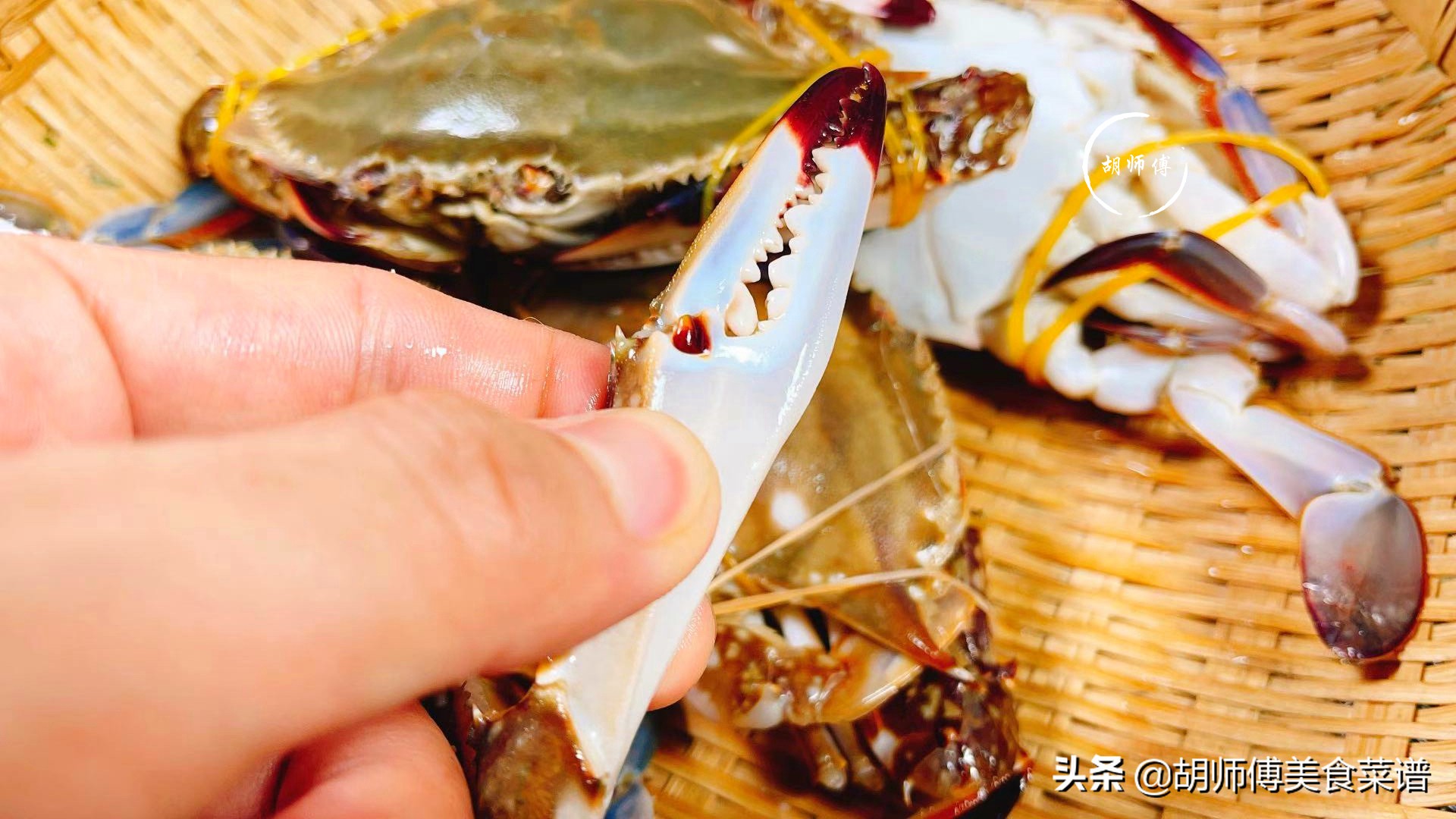 买螃蟹怎么挑是肥的,买螃蟹的时候怎么挑选肥的