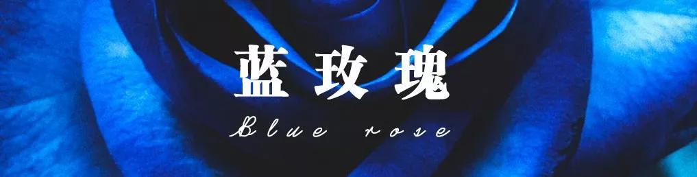 花店常用玫瑰花品种大全,一篇文章带你认识三亚40种花