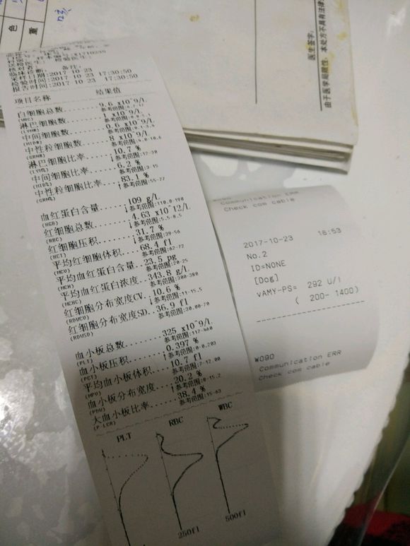 小狗肠胃炎大便果冻状带点血,小狗肠胃炎拉血了怎么回事