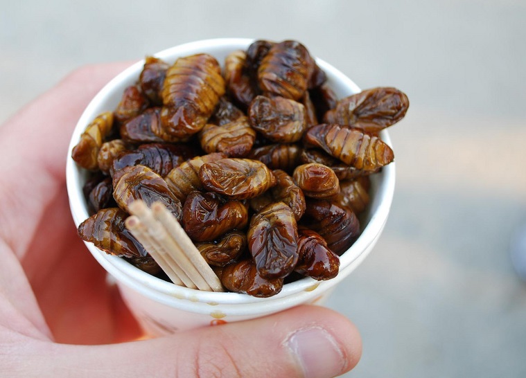 韩国市场的热门小吃韩国街头小吃,韩国人吃韩国美食