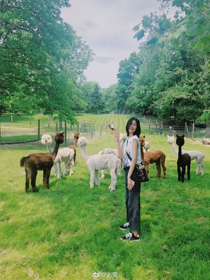 刘雯露腰针织上衣,大表姐刘雯同款巴洛克毛衫穿搭