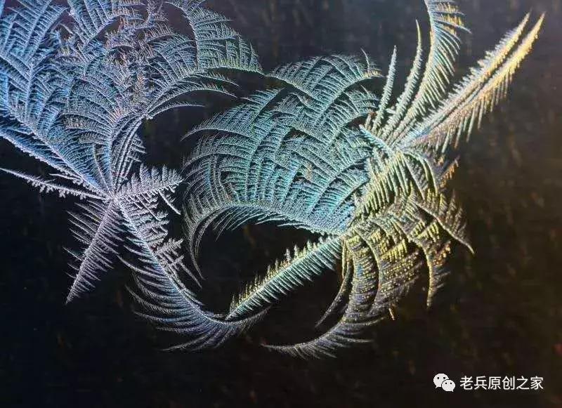 小年礼物赋佳木斯女诗人等诗