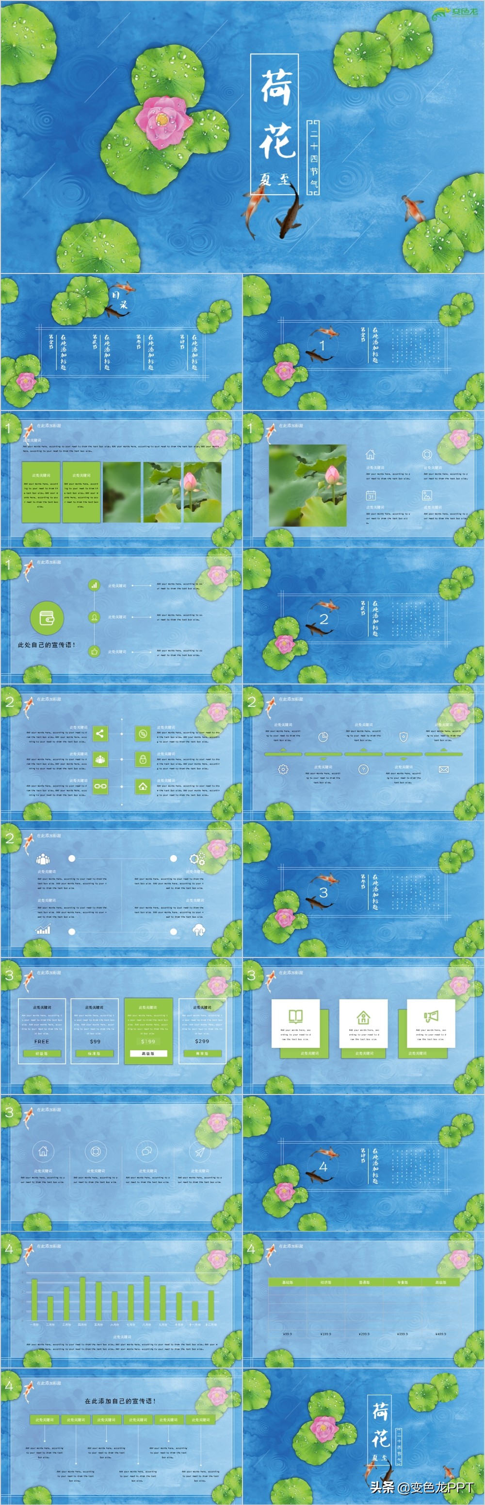 夏至福利——送你一份诗意莲华之季的PPT模板~