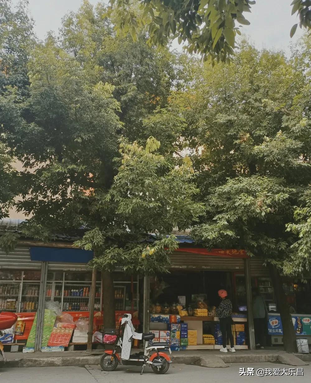 乐昌市棉纺厂历史,乐昌市最老的纺织厂