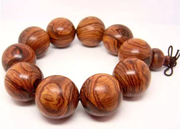 木头全部小说,木头免费观看