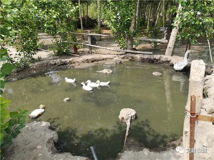 白城市洮北区洮河镇新发村第一书记范国辉:这里就是我的第二个家