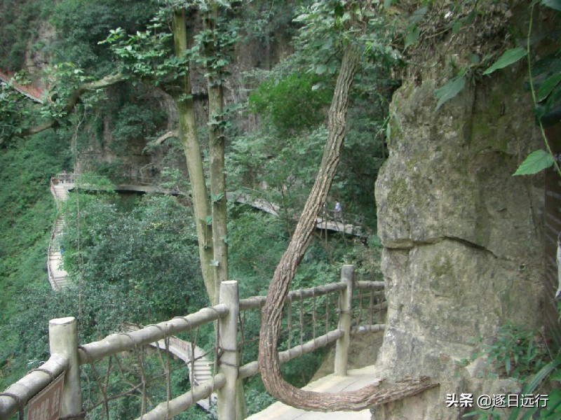 南川神龙峡漂流旅游攻略,南川神龙峡漂流气温