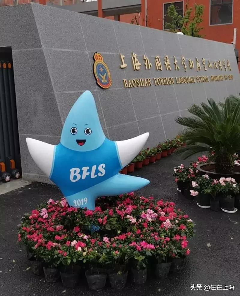 去年买房今年入住,上外附校附近楼盘