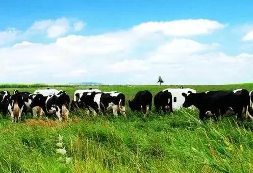 雀巢早产儿奶粉召回事件,雀巢奶粉事件曝光2019