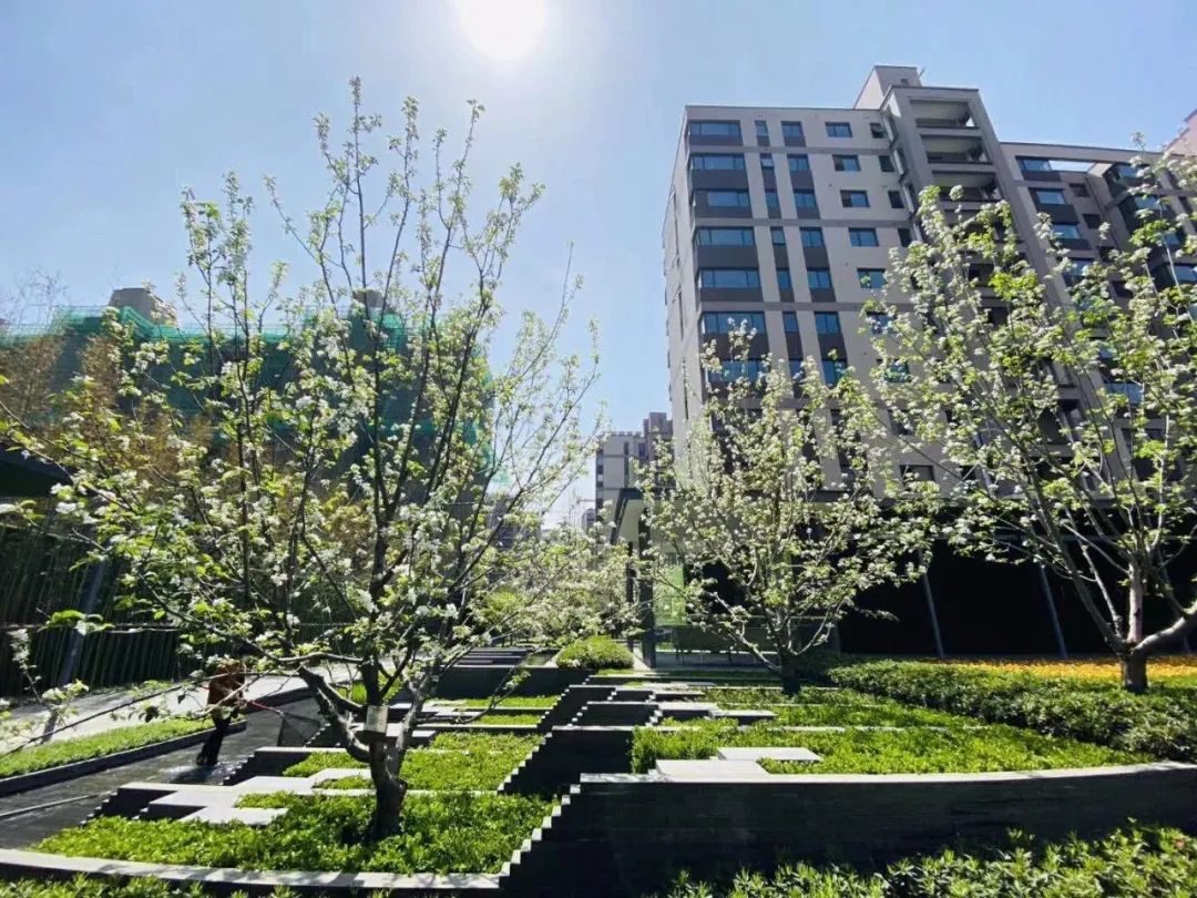 万象天地九悦周边新楼盘,后湖仁恒公园世纪值得买吗