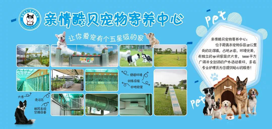 最好的宠物乐园在哪儿,19.9元宠物乐园