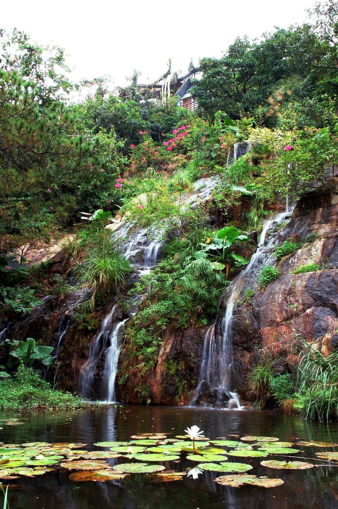 南山青青世界风景区,南山青青世界公园有什么