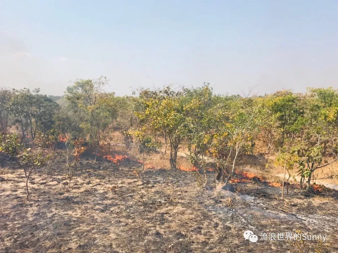 流浪非洲，乘坐中国援建火车去赞比亚，满满的亲切