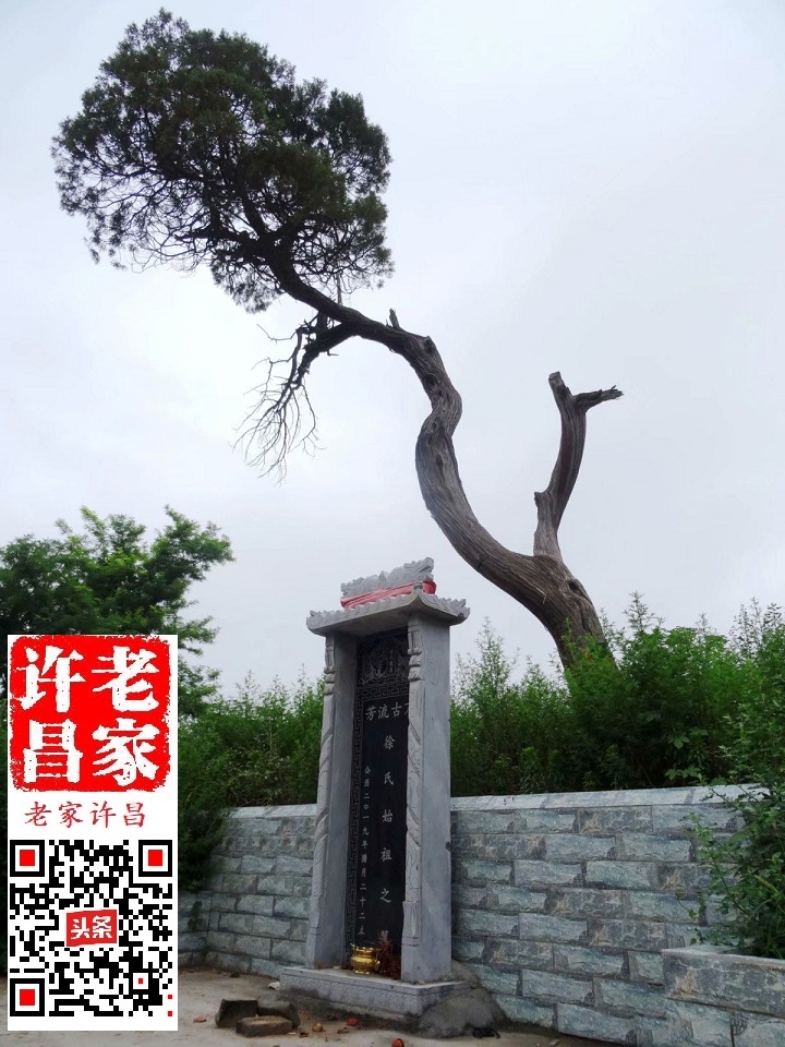 许昌南屯的来历 (许昌南屯里的历史)