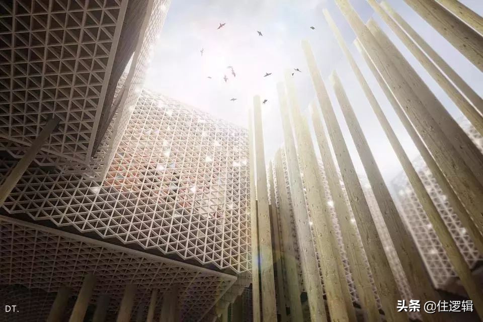 迪拜世博会中国馆建筑师,设计师吐槽大会