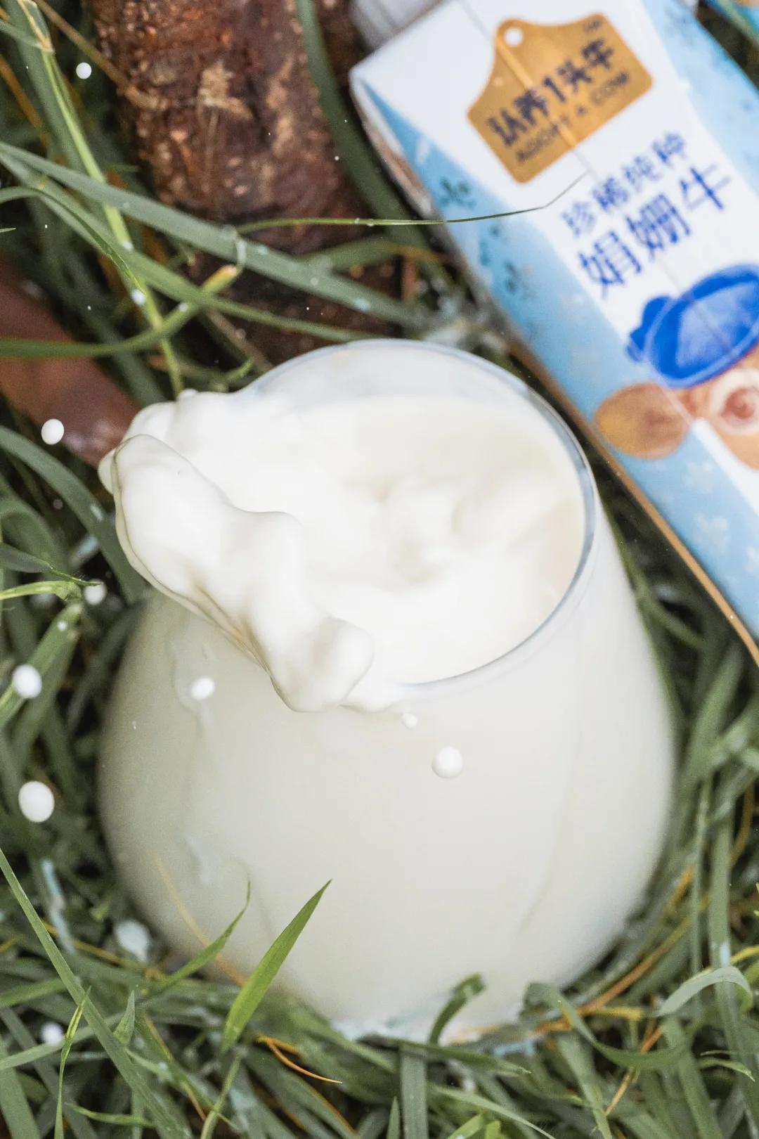 千万网红推荐的牛奶真的好喝吗,网红最好喝的纯牛奶